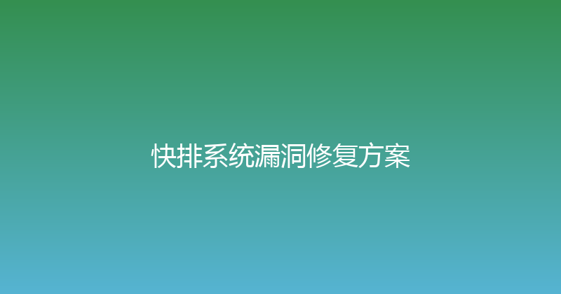 快排系统漏洞修复方案 封面图