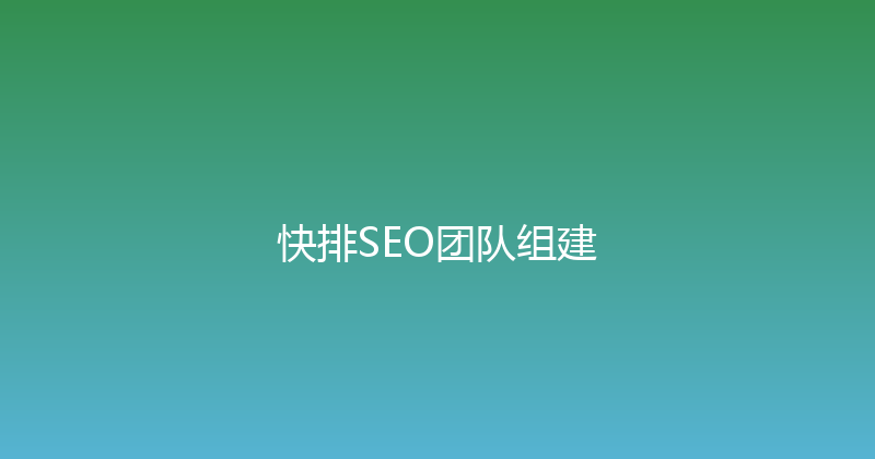 快排SEO团队组建 封面图
