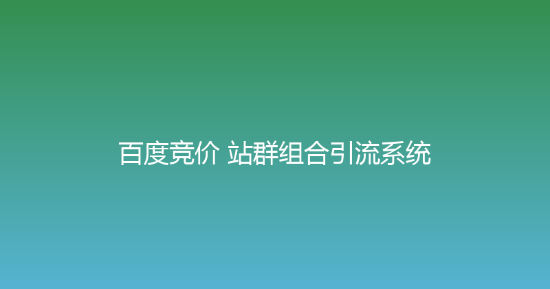 百度竞价+站群组合引流系统 封面图