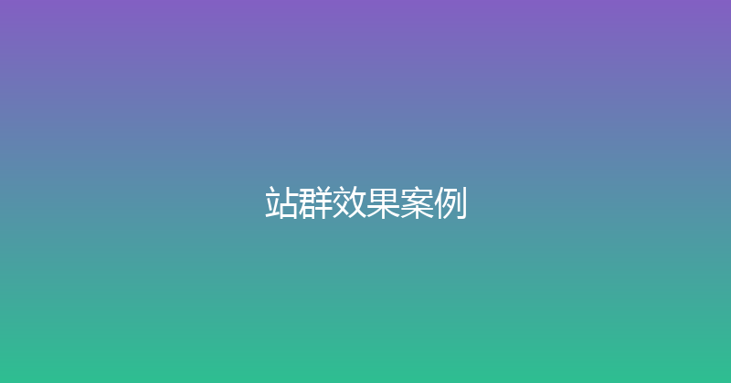 站群效果案例 封面图
