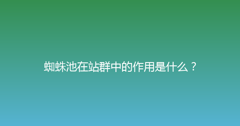 蜘蛛池在站群中的作用是什么？ 封面图