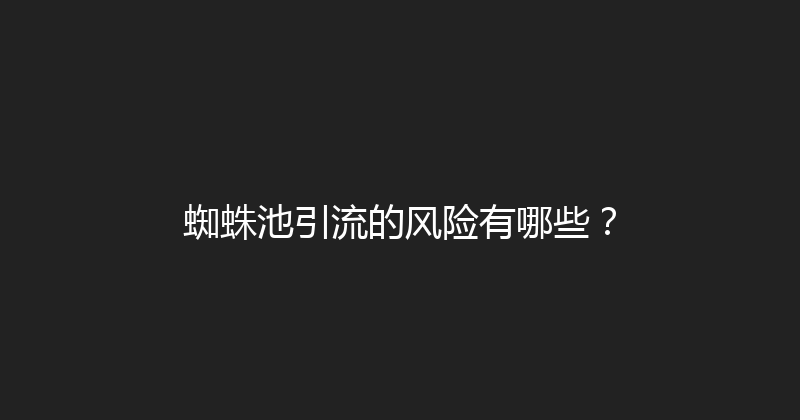 蜘蛛池引流的风险有哪些？ 封面图